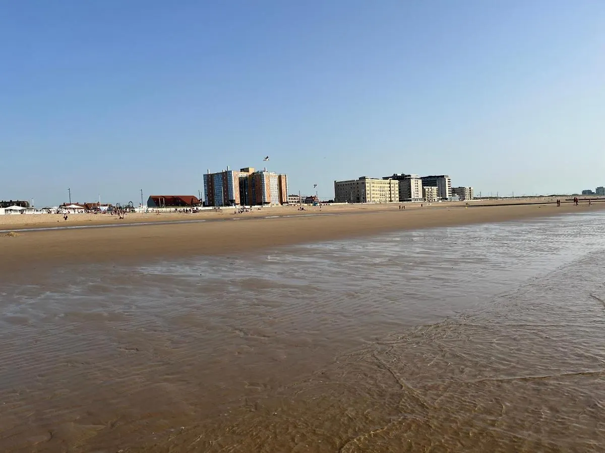 Frontaal zeezicht in appartement de Strandjutter Oostende
