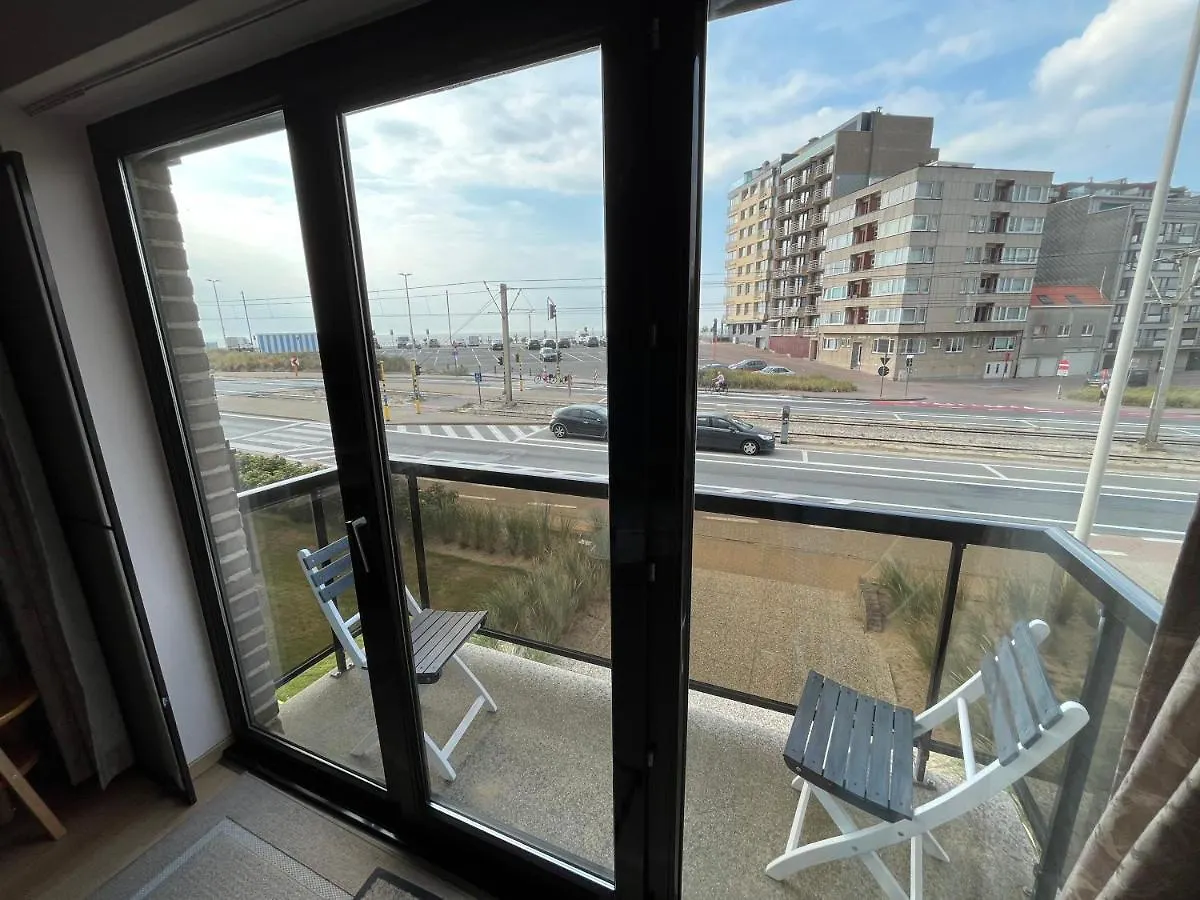 Frontaal Zeezicht In Appartement De Strandjutter Ostend Belgium